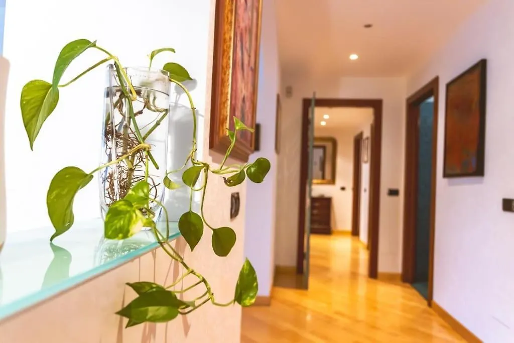 Ampia Oasi A Porta Venezia: Casa In Milano Centro Apartment